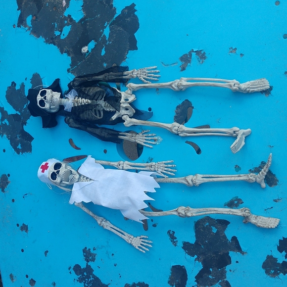 Other - Skelton Pair Pirate & Nurse